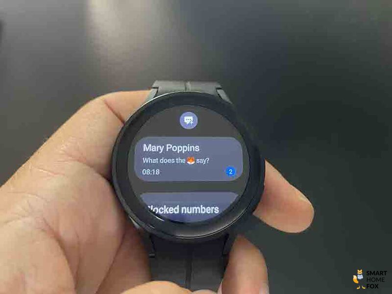 One sees a received message on a smartwatch.